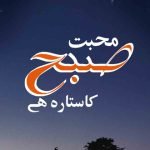 Muhabbat Subha Ka Sitara Hai Ebook