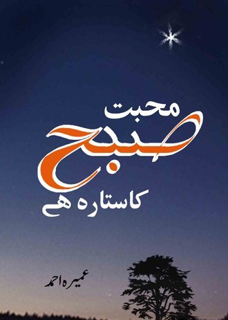 Muhabbat Subha Ka Sitara Hai