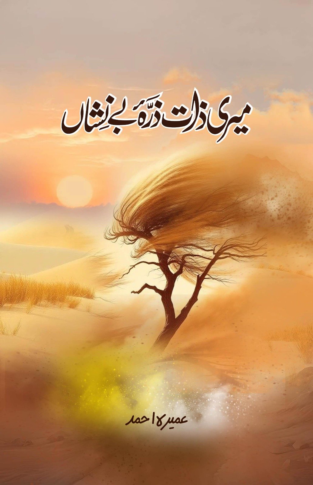 Meri Zaat Zarra Benishaan